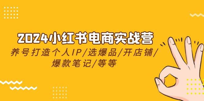 2024小红书电商实战营，养号打造IP/选爆品/开店铺/爆款笔记/等等（24节）6355 作者:福缘创业网 帖子ID:108895